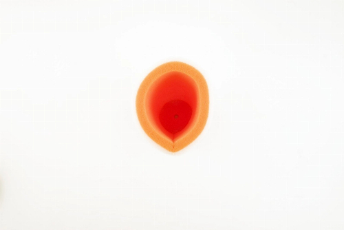 152903 FILTRO ARIA YAM.WARRIOR+GRIZLY98>06