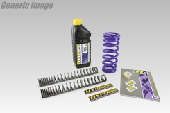 Molle anteriori e posteriori - Purple combikit HARLEY DAVIDSON FXDWG DYNA WIDE GLIDE