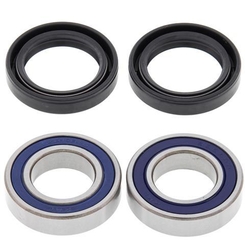 ALL BALLS - KIT CUSCINETTI RUOTA - WY25-1160