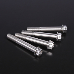 ZETA - VITERIA IN TITANIO           invia mail per lista applicazioni - ZT33-1604 VITI TITANIO PINZA M10x60 P1.25(4pc)