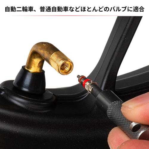 D58-12-002 VALVOLE ARIA x GOMME (2pz.)