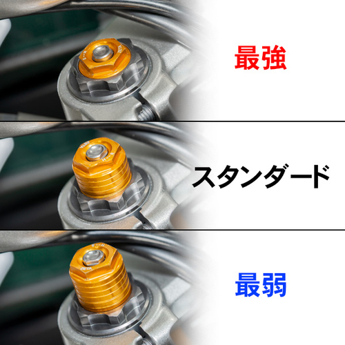 ZETA FrontFork Cap Serow250 Gold