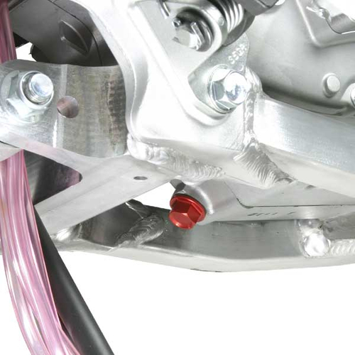 ZE58-1523 BULLONE MAGN. DREN. OLIO RED M12x15