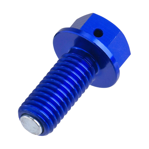 ZE58-1342 BULLONE MAGN. DREN. OLIO BLU M10x22