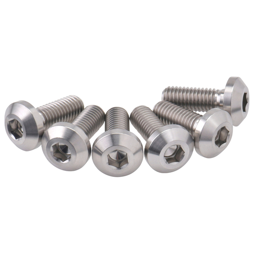 Gr5-Ti B-Disk PanHeadBolt Set 8-M8 22mm 6pcs