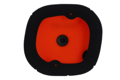 158383 FILTRO ARIA TRIUMPH TF250-X 24