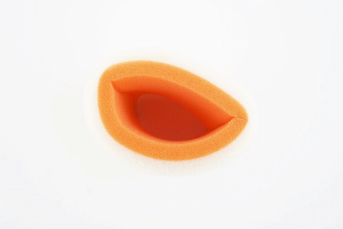 Air Filter Bombardier DS 250 2006/2026